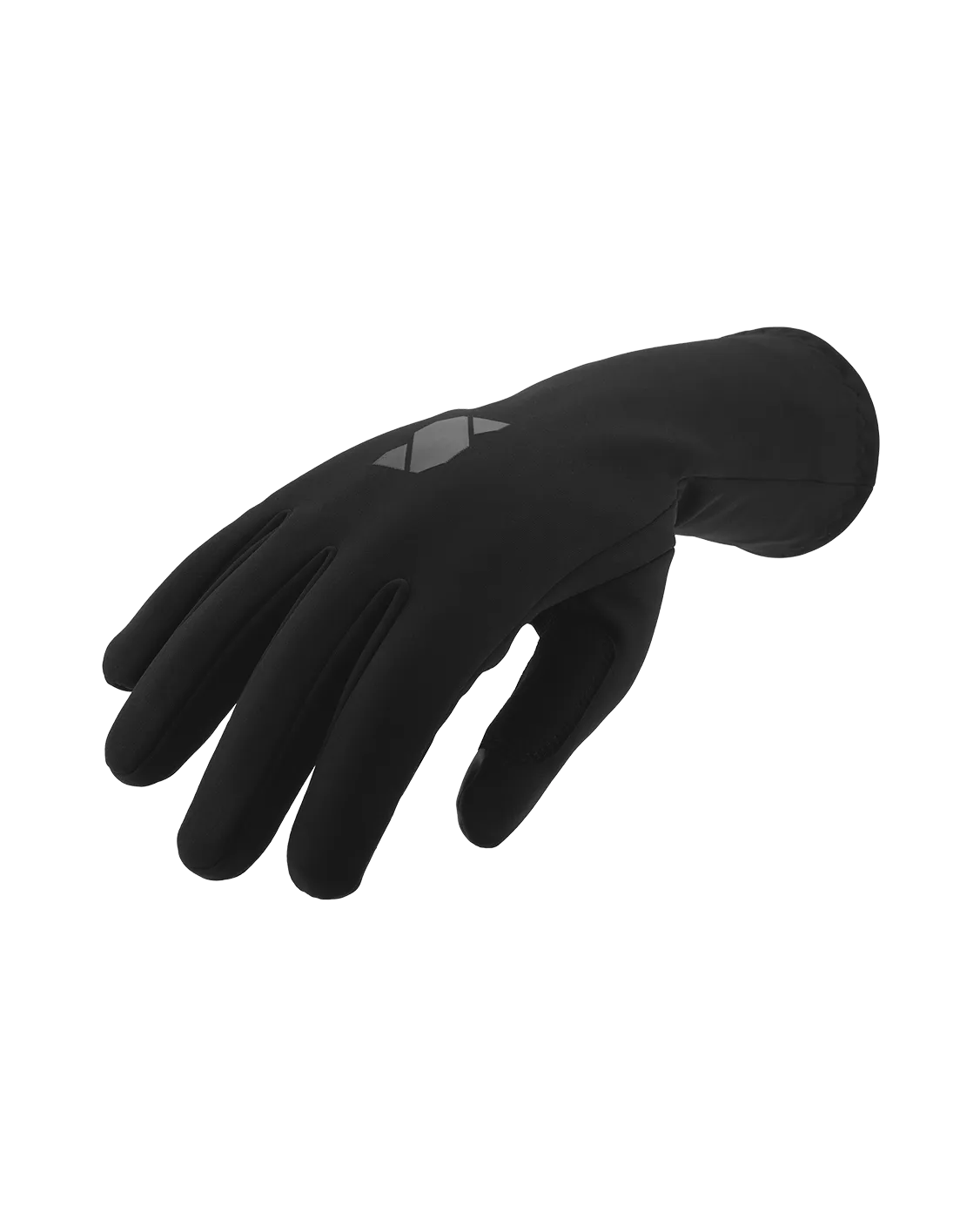 Winter Gloves '24