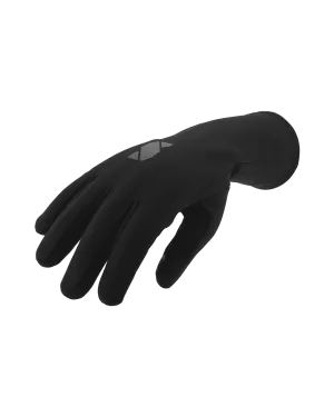 Winter Gloves '24